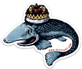 Atlantic Salmon Sticker